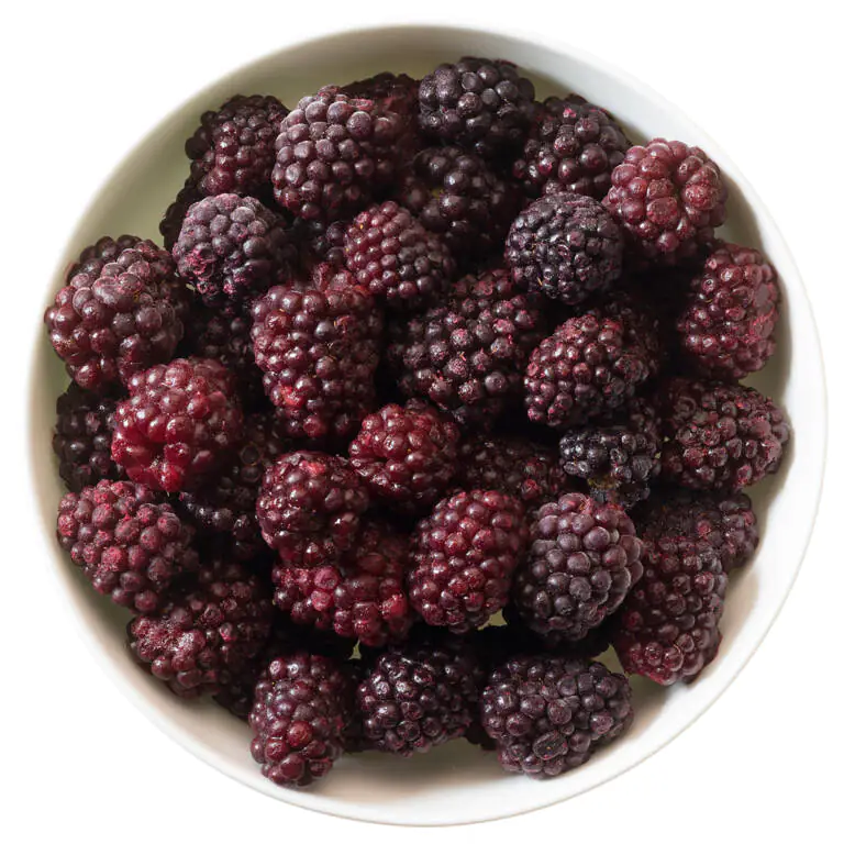 8051XX99 - blackberries.webp